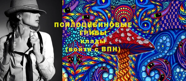 дурь Володарск