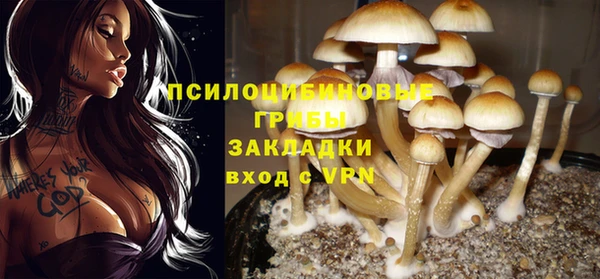 мяу мяу мука Волосово